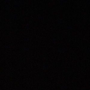 Meet your Posher, Gavin